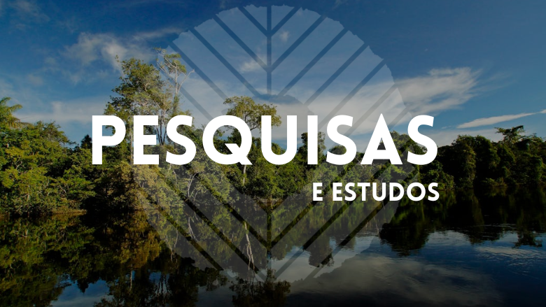 ASL Pesquisas e Estudos