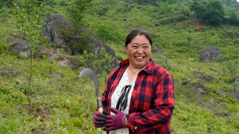 Building a Sustainable Forest Ecosystem in the Upper Reaches of the Yangtze River