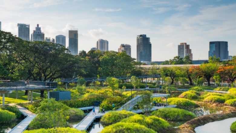 Tackling Urban Heat by Design: How to Build Cooler, Healthier Cities