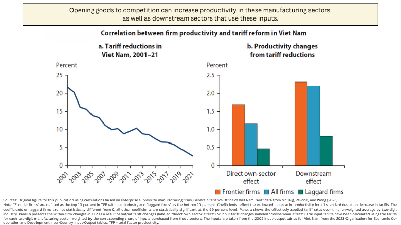 Correlation between firm productivity and tariff reform in Viet Nam