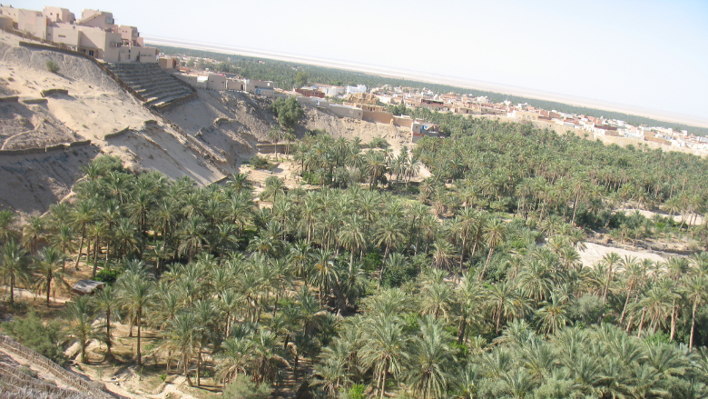 Oasis Tunisia World Bank