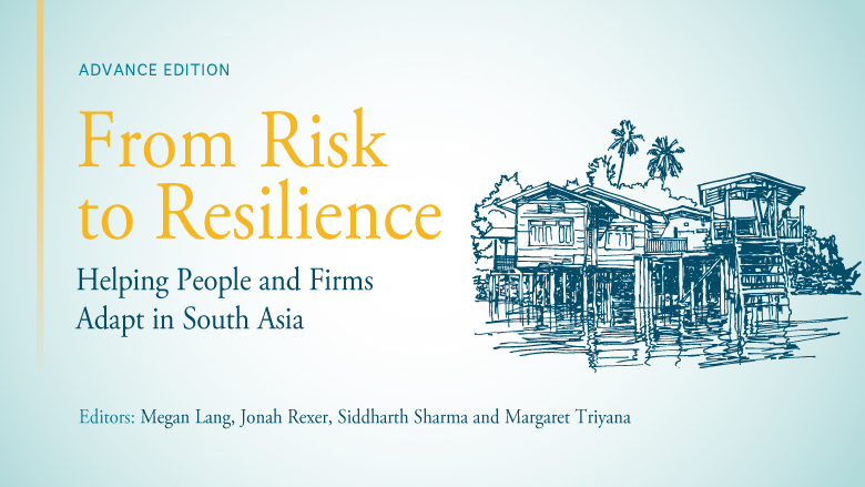 From Risk to Resilience Book Cover 