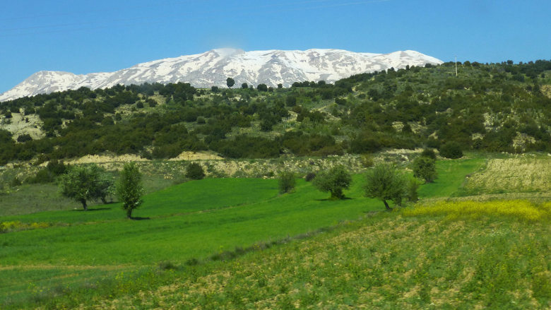 Forest-Fire-Management-event