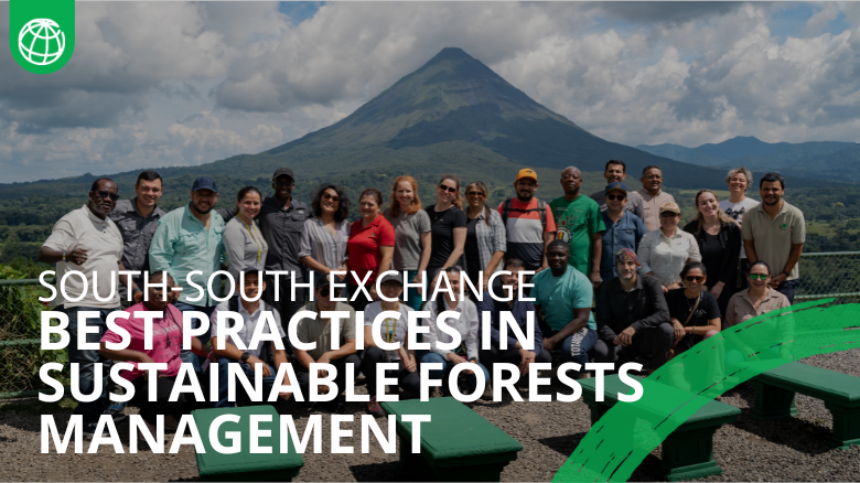 Sustainable Forest Management: South-South exchange
