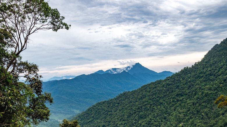 Vietnam landscape Credit Linh Pham 