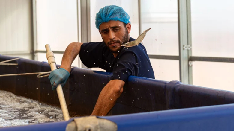 PROBLUE-Morocco-s-Blue-Future-Picture-780x439.