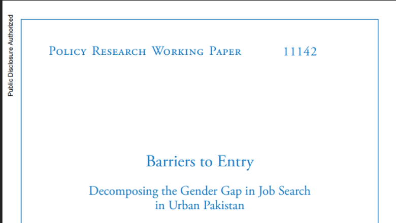 Publication: Barriers to Entry: Decomposing the Gender Gap in Job Search in Urban Pakistan