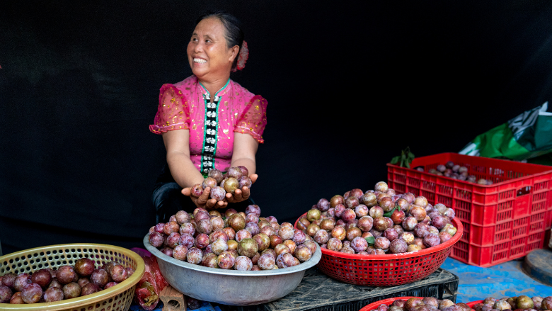 Food Systems 2030 Newsletter Thumbnail