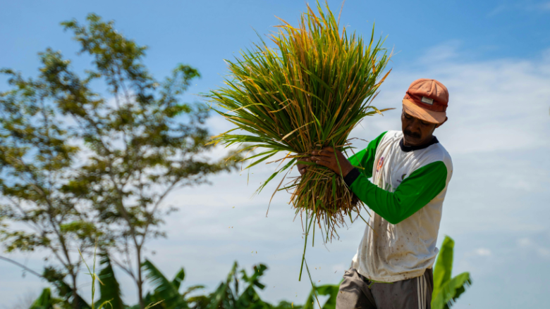 FoodSystems 2030 Annual Report Thumbnail