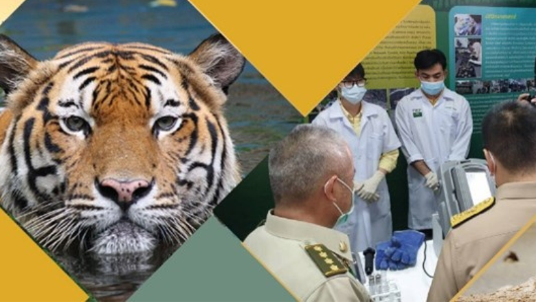 Slide cover featuring tiger and group of people in room