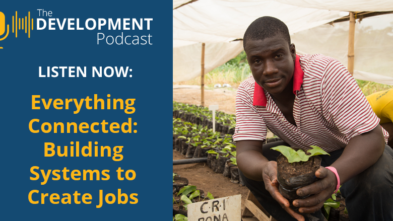 Everything Connected: Building Systems to Create Jobs | The Development Podcast