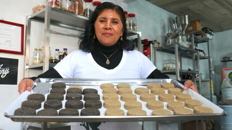 Forests at Work: Jobs Grounded in the Natural Wealth of Countries – World Bank