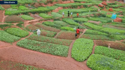 When Women Thrive, Côte d’Ivoire Thrives