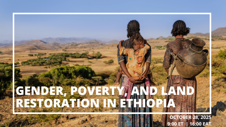 women forest women forest