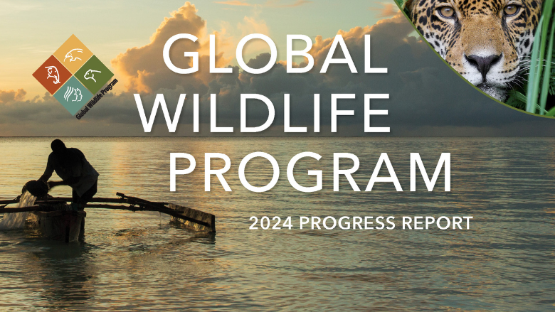 Cover of the Global Wildlife Program 2024 Progress Report