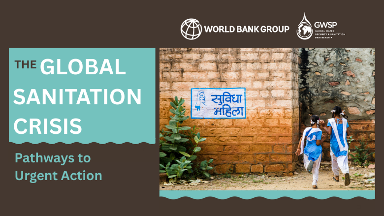 global sanitation crisis