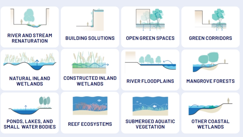 FAMILIES OF NATURE-BASED SOLUTIONS