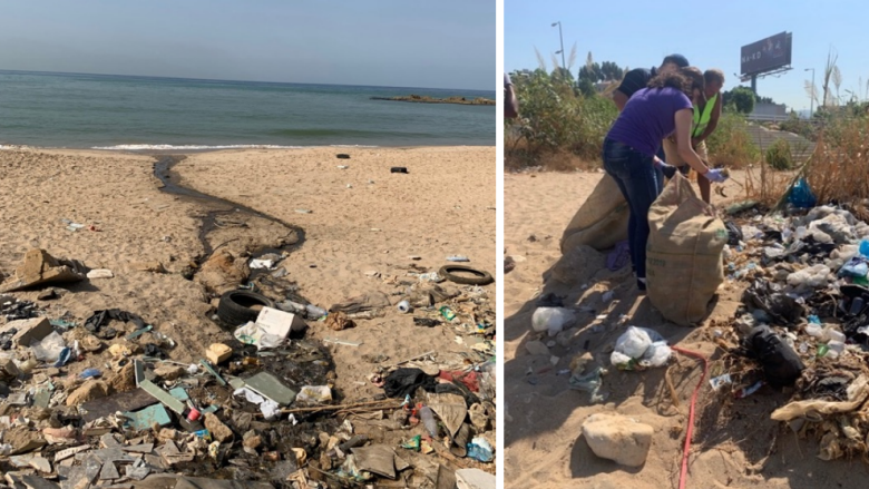 PROBLUE - Scenes from Baseline Survey Activities