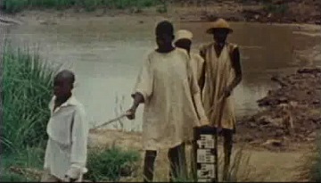 River blindness photographs and audio-visual recordings inventory