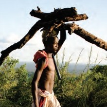Deforestation Trends in the Congo Basin