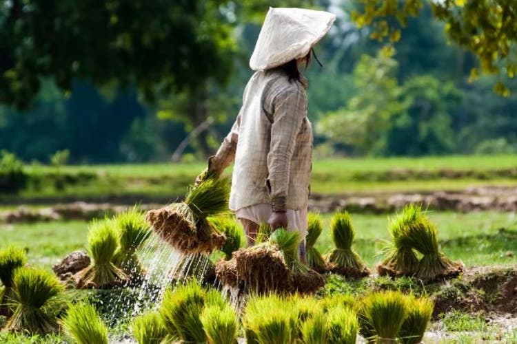Community Champions Shape a Future with Nature