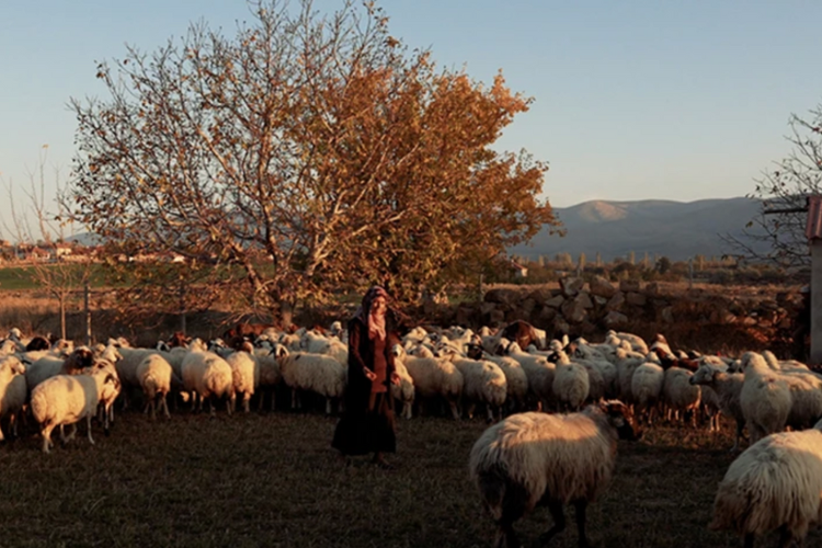 Europe and Central Asia: Agrifood Drives Economies and Jobs