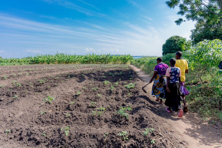 Turning Tanzania’s Farmers into Agri-Entrepreneurs