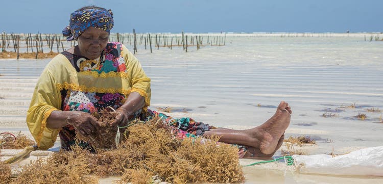 The Ocean: Changing Lives and Powering Growth