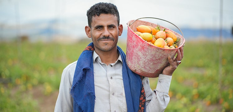 How Jobs Can Help Fight Poverty and Unlock Prosperity