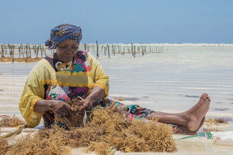 The Ocean: Changing Lives and Powering Growth