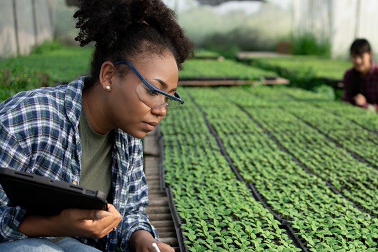 AgriConnect: Farms, Firms, and Finance for Jobs