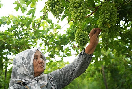 Water & Energy Management